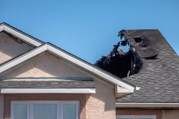 Licensed Odor Removal service in Safety Harbor, FL - Fire Damage Laser Cleaning